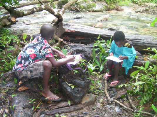 Children learning stream ecology. 